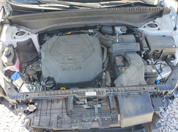 5XYP6DGC9RG519785 2024 KIA TELLURIDE White Widok wnętrza z tyłu