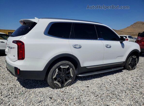 5XYP6DGC9RG519785 2024 KIA TELLURIDE White Tył prawy