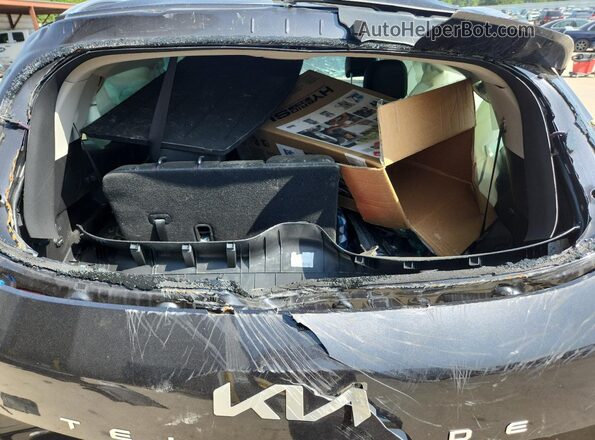 5XYP6DGCXSG695153 2025 KIA TELLURIDE Charcoal 