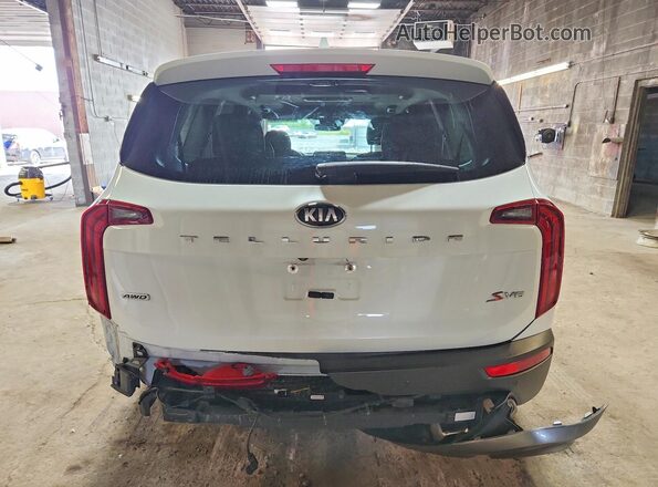 5XYP6DHC2LG035706 2020 KIA TELLURIDE White Widok z tyłu