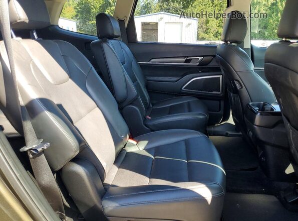 5XYP6DHC2MG137234 2021 KIA TELLURIDE Green Vista interior trasera