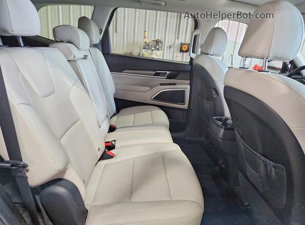 5XYP6DHC3LG054894 2020 KIA TELLURIDE Black Widok tylnych siedzeń