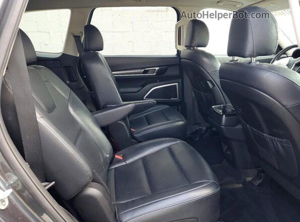 5XYP6DHC3LG058542 2020 KIA TELLURIDE Gray Սալոնի հետևի տեսք