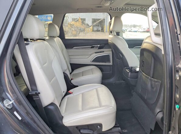 5XYP6DHC3LG073719 2020 KIA TELLURIDE Угольный Вид задней части салона