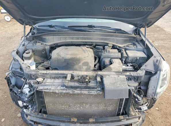 5XYP6DHC3LG073719 2020 KIA TELLURIDE Угольный Вид подкапотного пространства