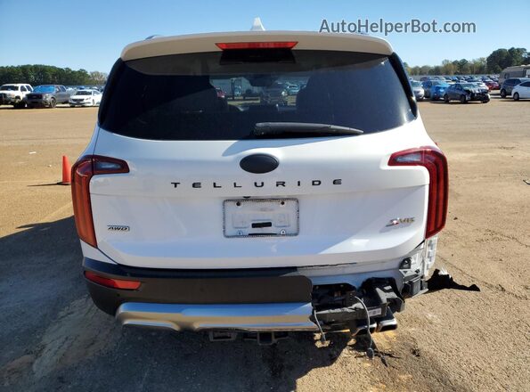 5XYP6DHC4LG091498 2020 KIA TELLURIDE Белый Вид сзади