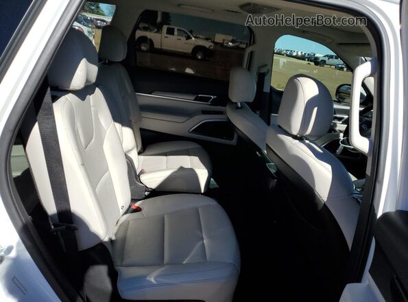 5XYP6DHC4LG091498 2020 KIA TELLURIDE Белый Вид задней части салона