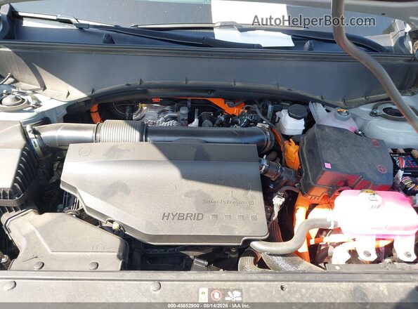 5XYPCESA5VG015684 2027 KIA TELLURIDE HYBRID Gray Widok z tyłu