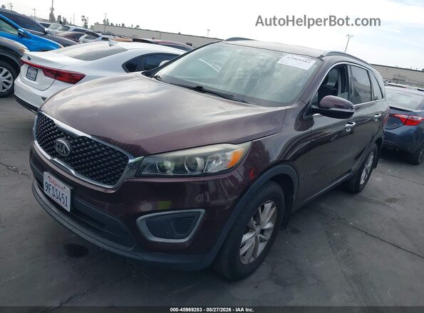 5XYPG4A30GG060147 2016 KIA SORENTO Purple Vista tres cuartos delantera izquierda