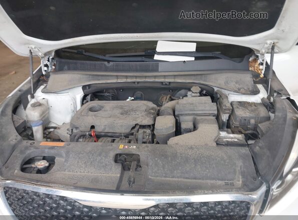 5XYPGDA34HG265231 2017 KIA SORENTO Белый Вид сзади