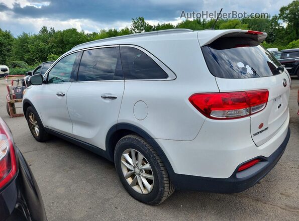 5XYPGDA38GG087337 2016 KIA SORENTO Белый Задняя левая четверть