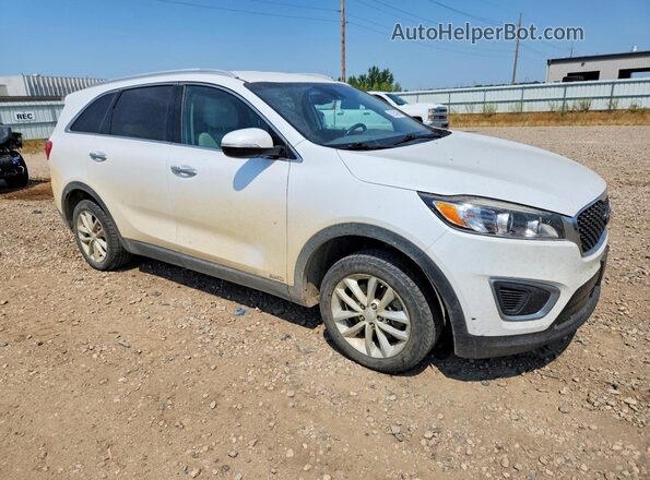 5XYPGDA39HG237084 2017 KIA SORENTO White წინა მარჯვენა