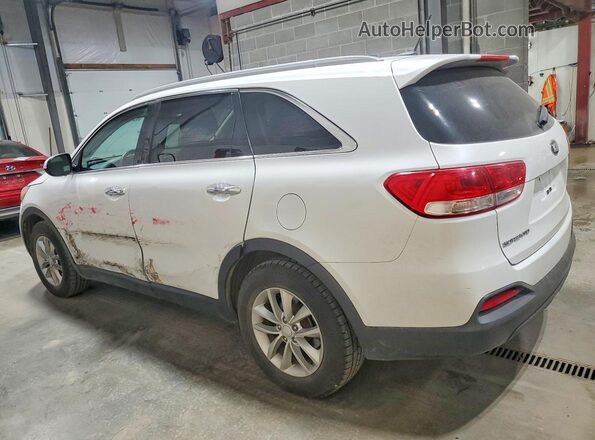 5XYPGDA39HG259196 2017 KIA SORENTO White Tył lewy
