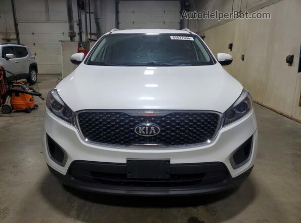 5XYPGDA39HG259196 2017 KIA SORENTO White Widok z przodu