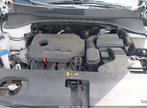 5XYPGDA3XGG081345 2016 KIA SORENTO White Հետևի տեսք