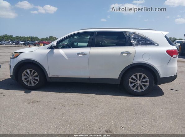 5XYPGDA50GG175543 2016 KIA SORENTO Белый Вид задней части салона