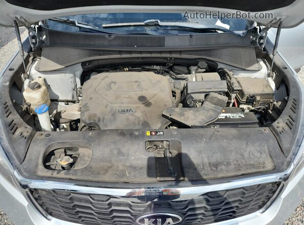 5XYPGDA55LG612091 2020 KIA SORENTO Silver Սալոնի հետևի տեսք