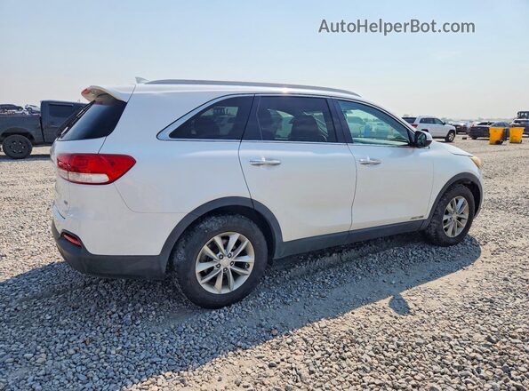 5XYPGDA59GG063405 2016 KIA SORENTO White Tył prawy