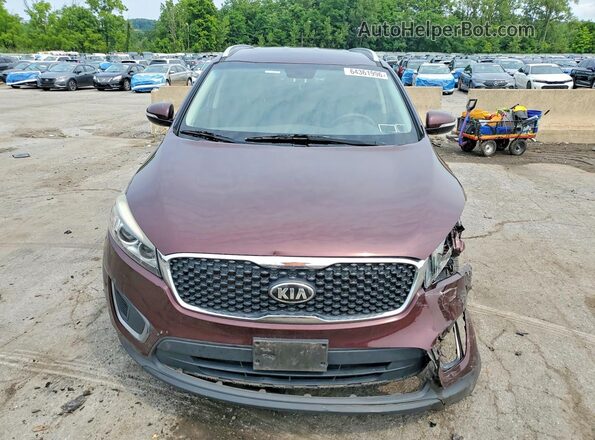 5XYPGDA59HG202093 2017 KIA SORENTO Burgundy Widok z przodu