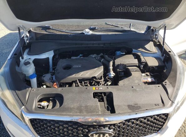 5XYPH4A14HG296328 2017 KIA SORENTO Белый Вид задней части салона