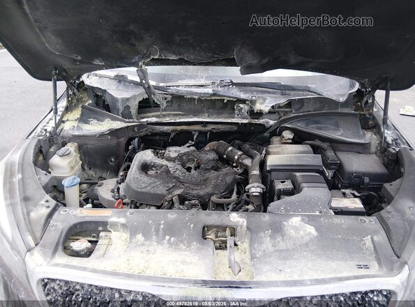 5XYPHDA1XGG018693 2016 KIA SORENTO Burgundy Widok z tyłu