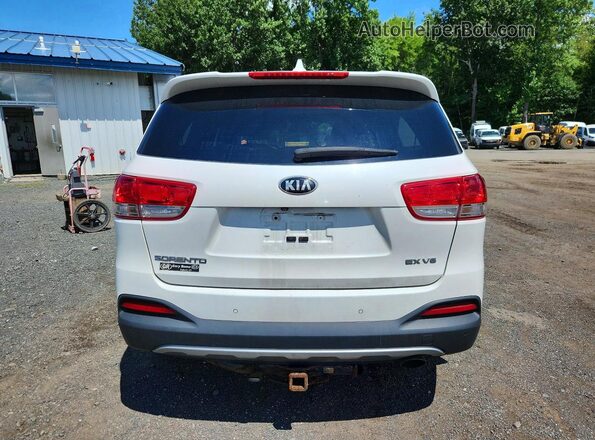 5XYPHDA51GG156433 2016 KIA SORENTO White Widok z tyłu