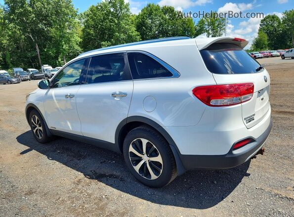 5XYPHDA51GG156433 2016 KIA SORENTO White Tył lewy