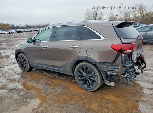 5XYPHDA53LG633258 2020 KIA SORENTO Brown Rear left