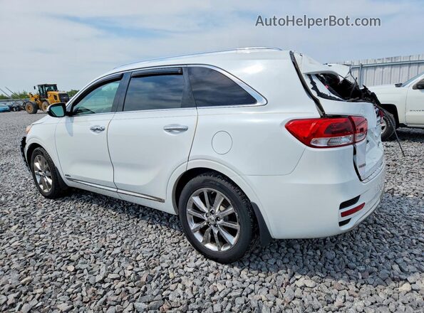 5XYPKDA50GG092807 2016 KIA SORENTO White უკანა მარცხენა