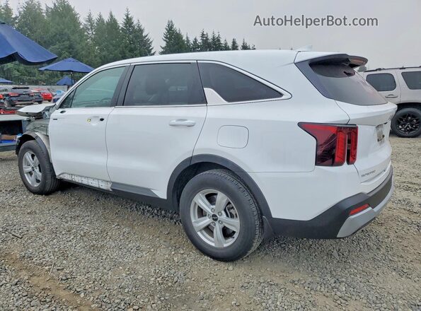 5XYRG4JC2RG300956 2024 KIA SORENTO White უკანა მარცხენა