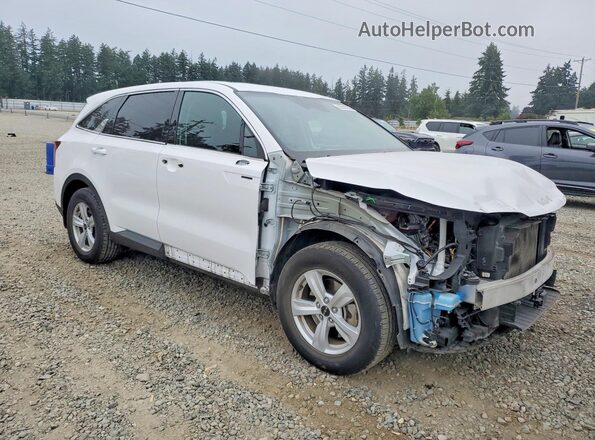 5XYRG4JC2RG300956 2024 KIA SORENTO White წინა მარჯვენა
