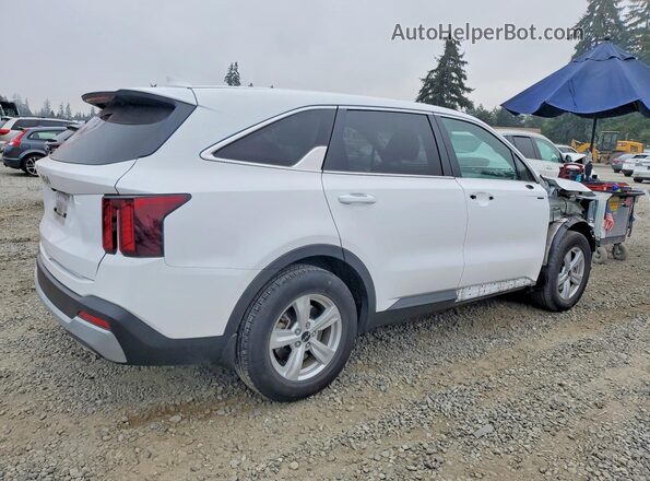 5XYRG4JC2RG300956 2024 KIA SORENTO White უკანა მარჯვენა