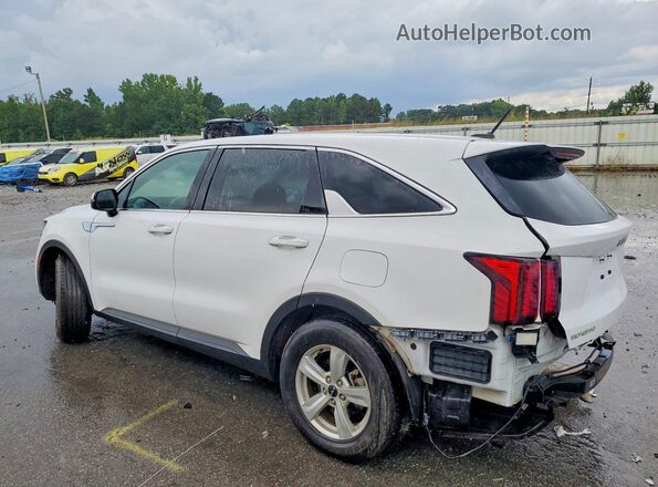 5XYRG4LC3PG171569 2023 KIA SORENTO Белый Задняя левая четверть