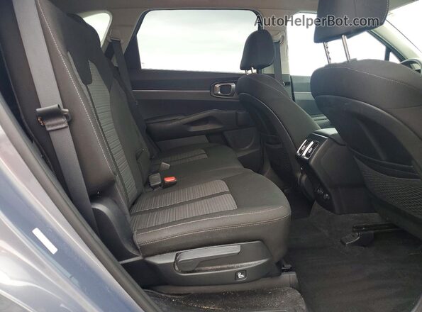 5XYRG4LC9PG183855 2023 KIA SORENTO Серебряный Вид задней части салона
