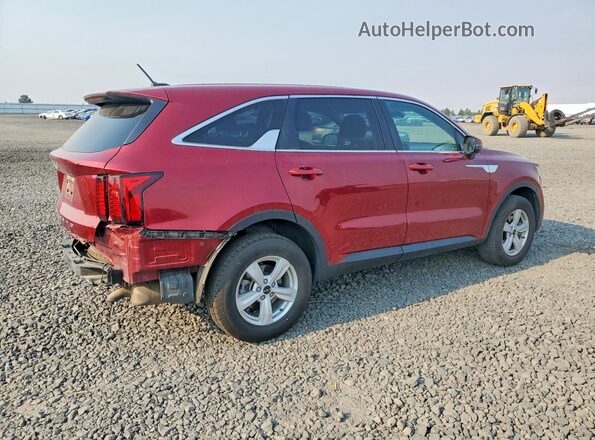 5XYRGDLC6NG101559 2022 KIA SORENTO Red Задня права чверть