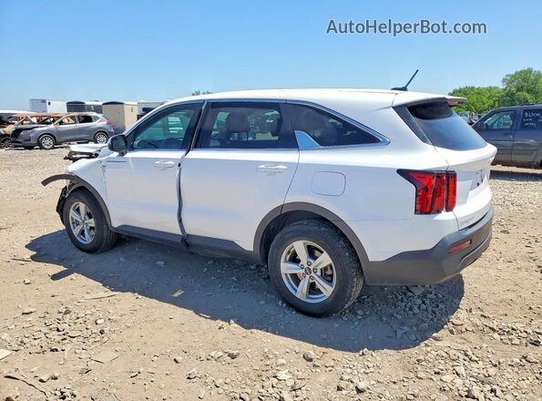 5XYRGDLC8PG251546 2023 KIA SORENTO White Tył lewy