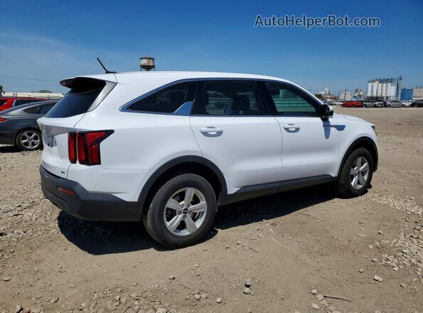5XYRGDLC8PG251546 2023 KIA SORENTO White Tył prawy