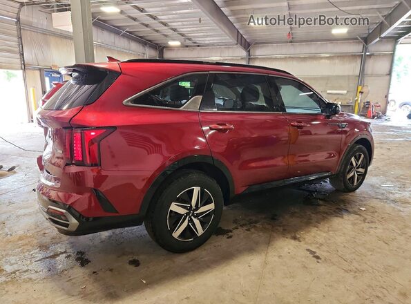 5XYRHDLF0MG014519 2021 KIA SORENTO Burgundy Հետևի աջ