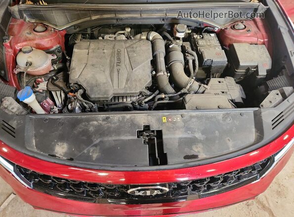 5XYRHDLF0MG014519 2021 KIA SORENTO Burgundy Սալոնի հետևի տեսք