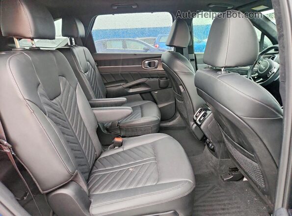 5XYRKDJF7RG258163 2024 KIA SORENTO Blue Vista de los asientos traseros