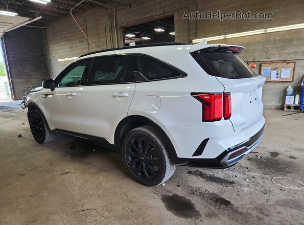 5XYRKDLF0PG246303 2023 KIA SORENTO White Հետևի ձախ