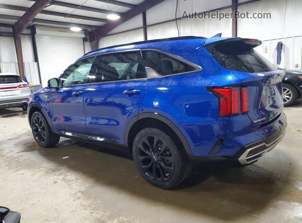5XYRKDLF2PG164461 2023 KIA SORENTO Blue უკანა მარცხენა