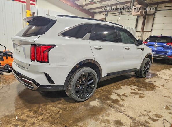 5XYRKDLF3PG186856 2023 KIA SORENTO Gray Rear right