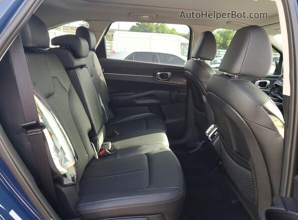 5XYRL4JC4TG410443 2026 KIA SORENTO Синий Вид задней части салона
