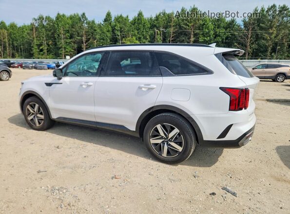 5XYRL4LC0PG172027 2023 KIA SORENTO White Tył lewy