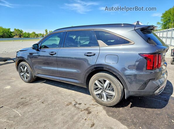 5XYRL4LC4PG190417 2023 KIA SORENTO Серый Задняя левая четверть