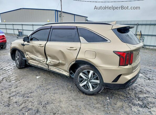 5XYRL4LC7MG009905 2021 KIA SORENTO Gold Rear left