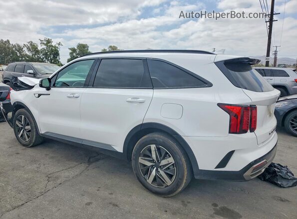 5XYRL4LC7MG022248 2021 KIA SORENTO White Задня ліва чверть