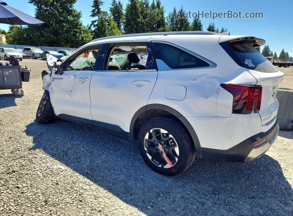 5XYRLDJC4RG300873 2024 KIA SORENTO White Հետևի ձախ