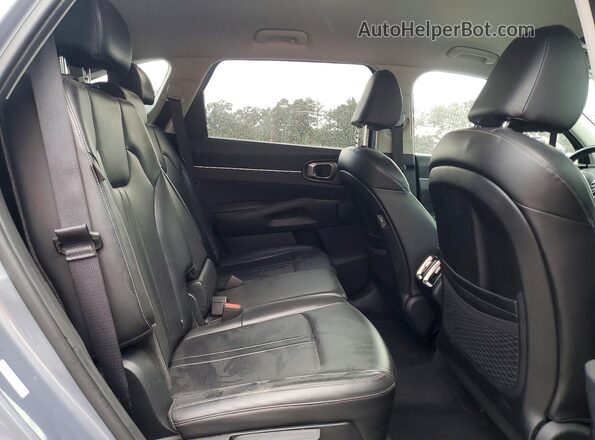 5XYRLDJC6RG278231 2024 KIA SORENTO Серый Вид задней части салона